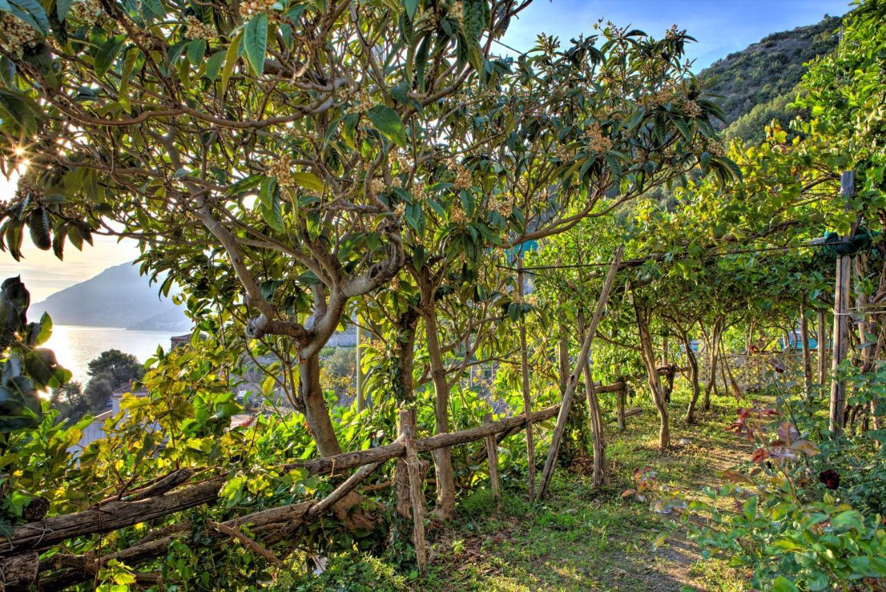 Villa Ad Maiori Exterior foto